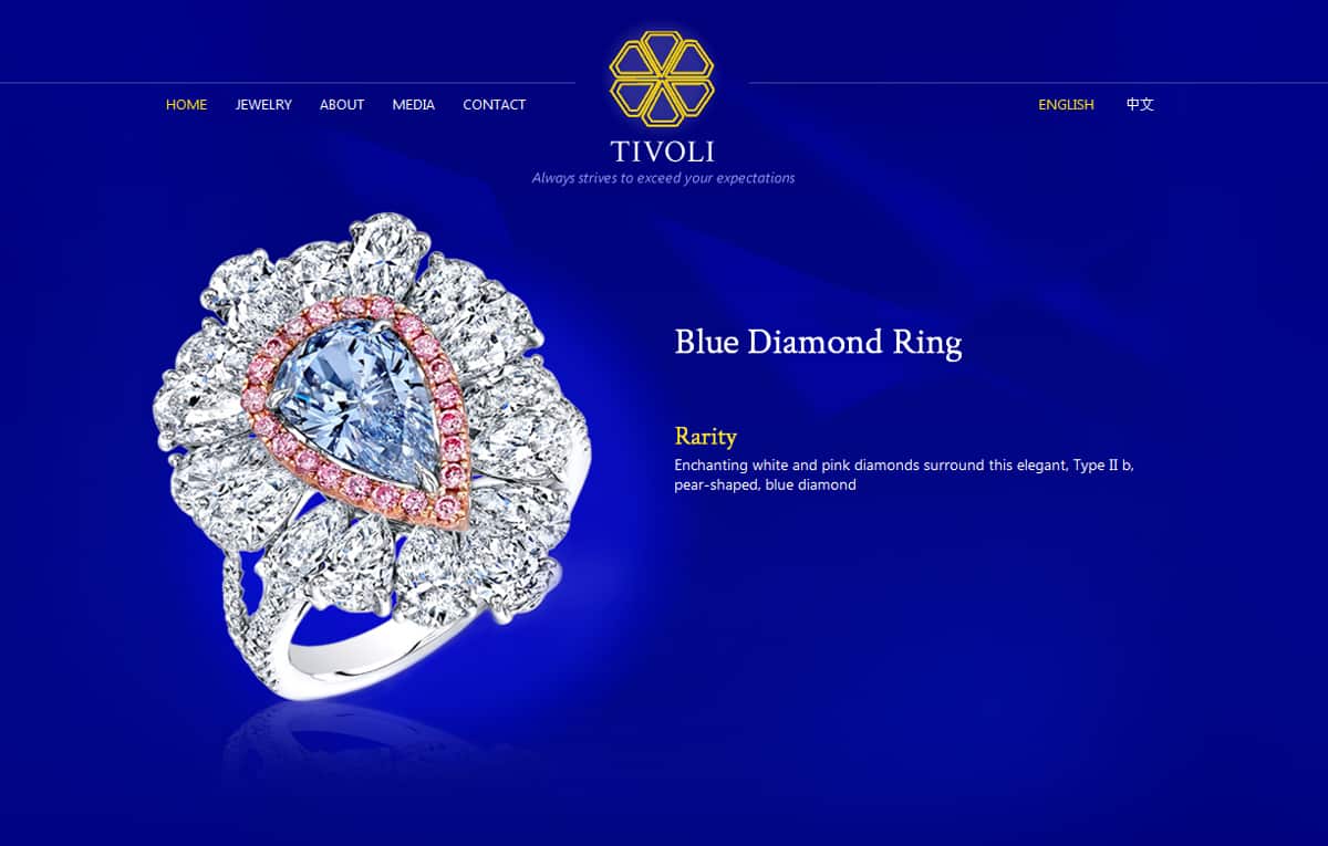 jewelry store web designer