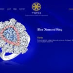 jewelry store web design