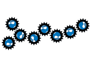 getting to know drupal