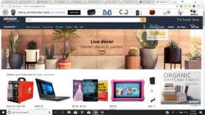 Online marketplace Amazon
