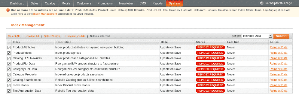 magento ecommerce