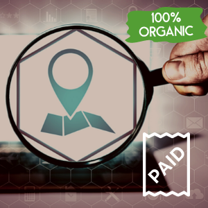 Organic and Paid Search Traffic